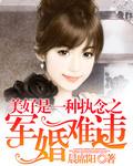 盛世军婚首长大人太腹黑