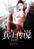 兵王传奇33言情