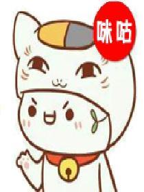 大司法证