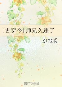 师兄全文