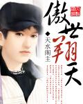 傲天翔云