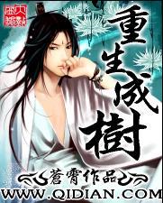 重生成树类排行榜