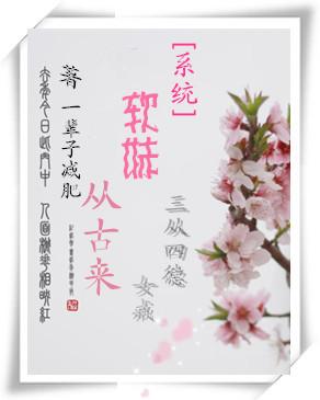 系统软妹子不可欺