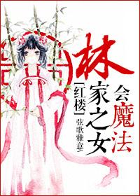 红楼之林家女婿