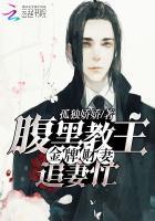 金牌神医之腹黑王妃完整篇