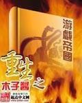 重生之游戏帝国 木子酱