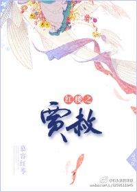 红楼之贾赦内功