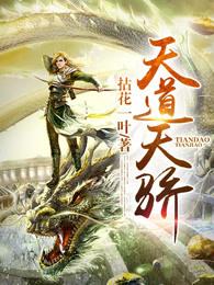 天道天骄等级