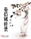 奇石入门