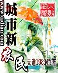 城市新农民未删减版