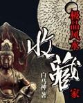 极品风水收藏家TXT
