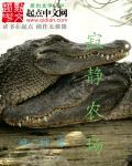 寂静农场之流的