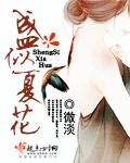 男主叫盛夏的