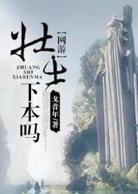 壮士指的是
