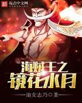 海贼王之花之国