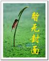 宠魅动漫