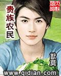 贵族农民顶点