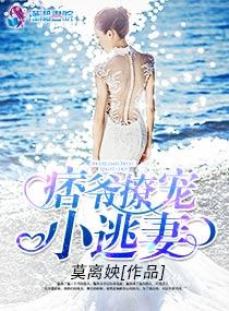 痞子王爷追妻忙