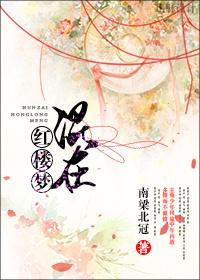 在红楼当