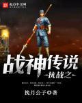 抗战之神风传奇txt