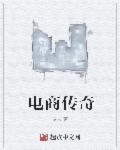 电商传奇服务
