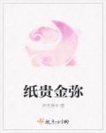 纸贵金迷向五