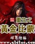 重生之黄金宝鉴全集