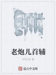 老炮儿 原著