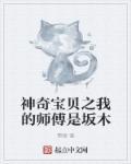 宠物小精灵之我的师傅是坂木