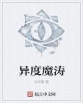 异度怎么样