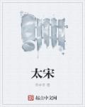 太宋疑云