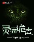 灵猫设计集团创始人