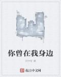 我在你身边不曾走远是什么歌