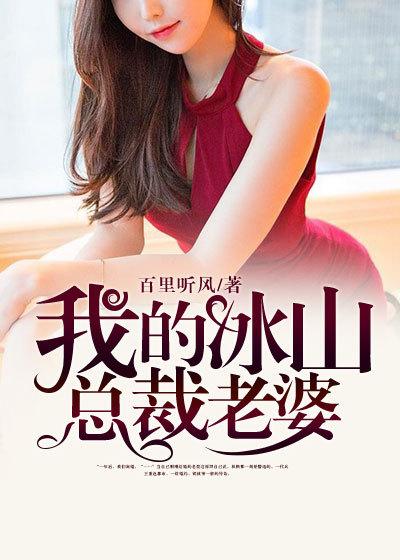 我的冰山总裁老婆完结版