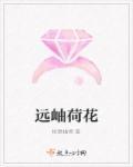 荷花远看整体像什么