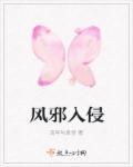 风邪入体是什么意思