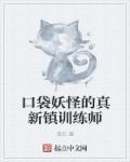 口袋妖怪真气弹