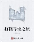 寻宝怪人百度百科