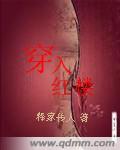 穿 红楼