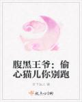 腹黑王爷盗墓妃免费全文