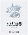 道玄道法最高阵法
