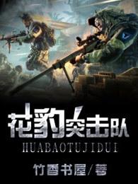 花豹突击队2