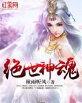 绝世神魂完整免费