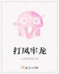 凤龙什么意思