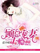 隐婚99天总裁好眼力