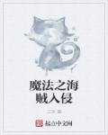 魔法士 海贼王