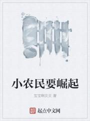 小农民崛起之路