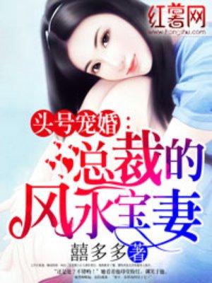 总裁专宠风水师