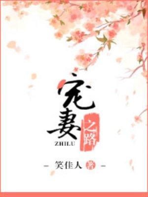宠妻之路 笑佳人讲什么