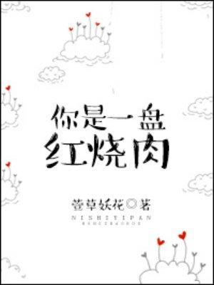 一盘红烧肉作文